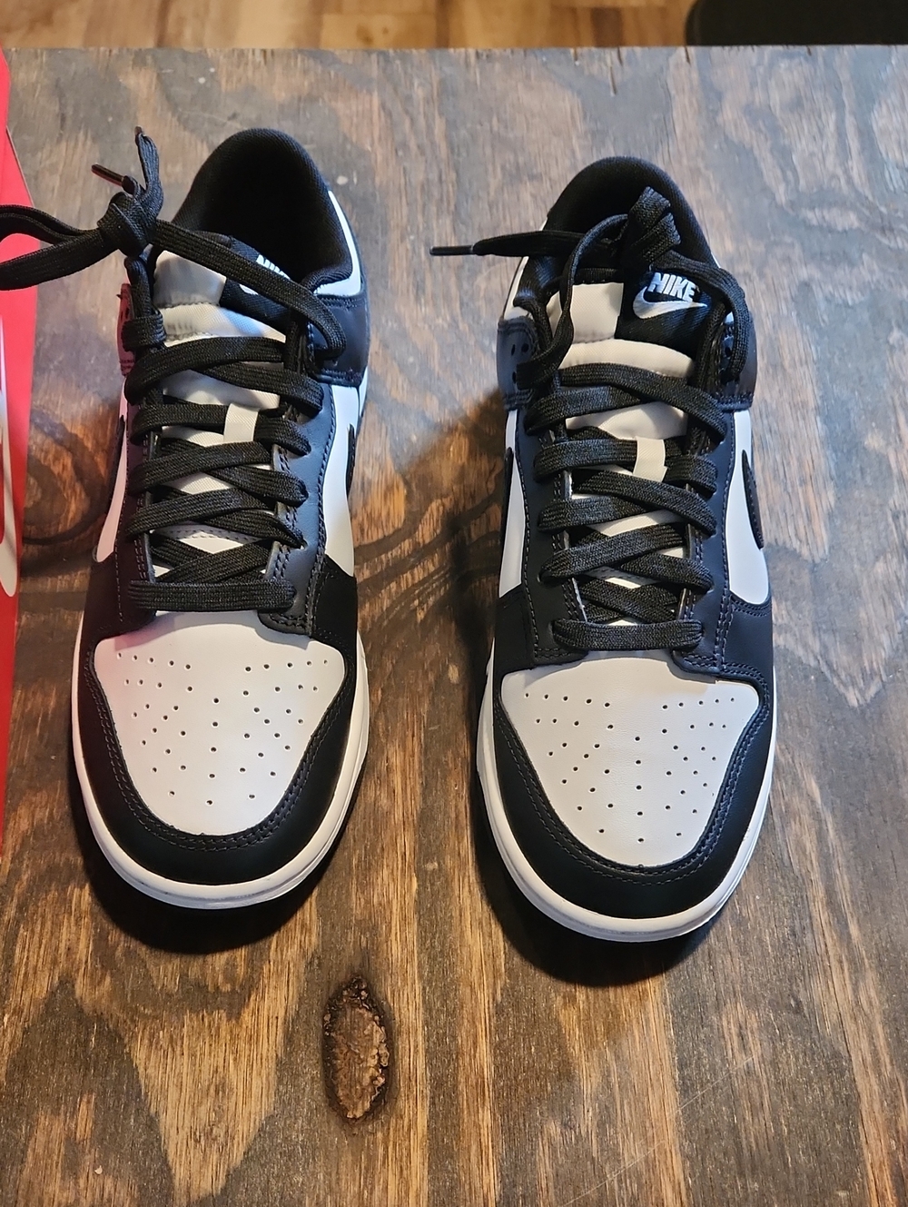 Nike Men's Dunk Low Retro Sneakers